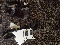 Широкий гитарный ремень с регулировкой с помощью пряжки